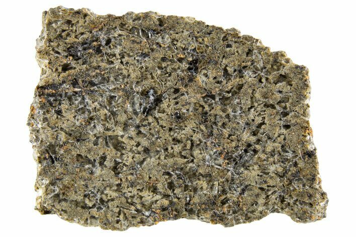 Martian Shergottite Meteorite ( g) Slice - NWA #335338